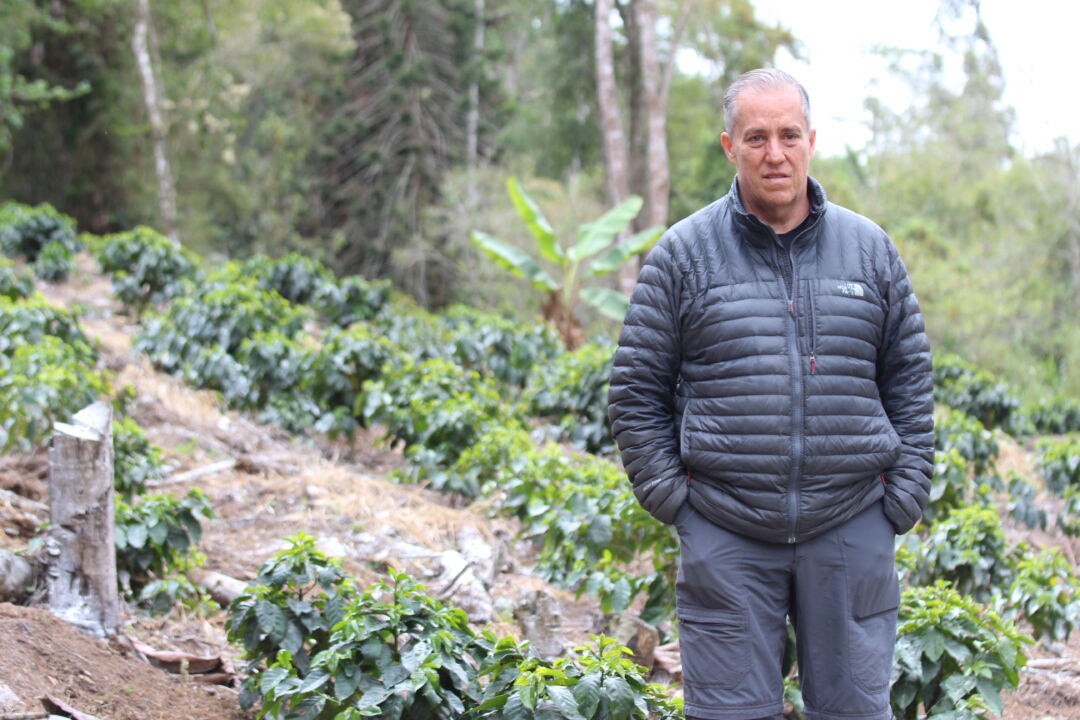 Agricultura regenerativa é pauta de cafeicultores capixabas
