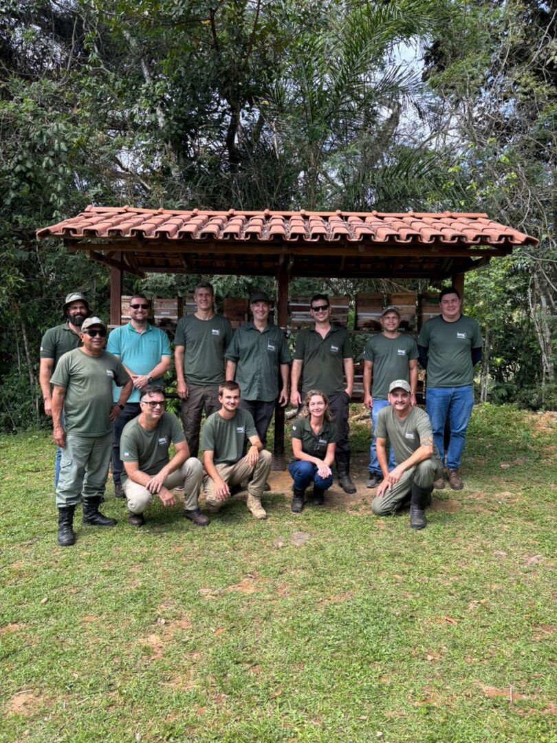 Iema lança projeto para preservação de abelhas nativas