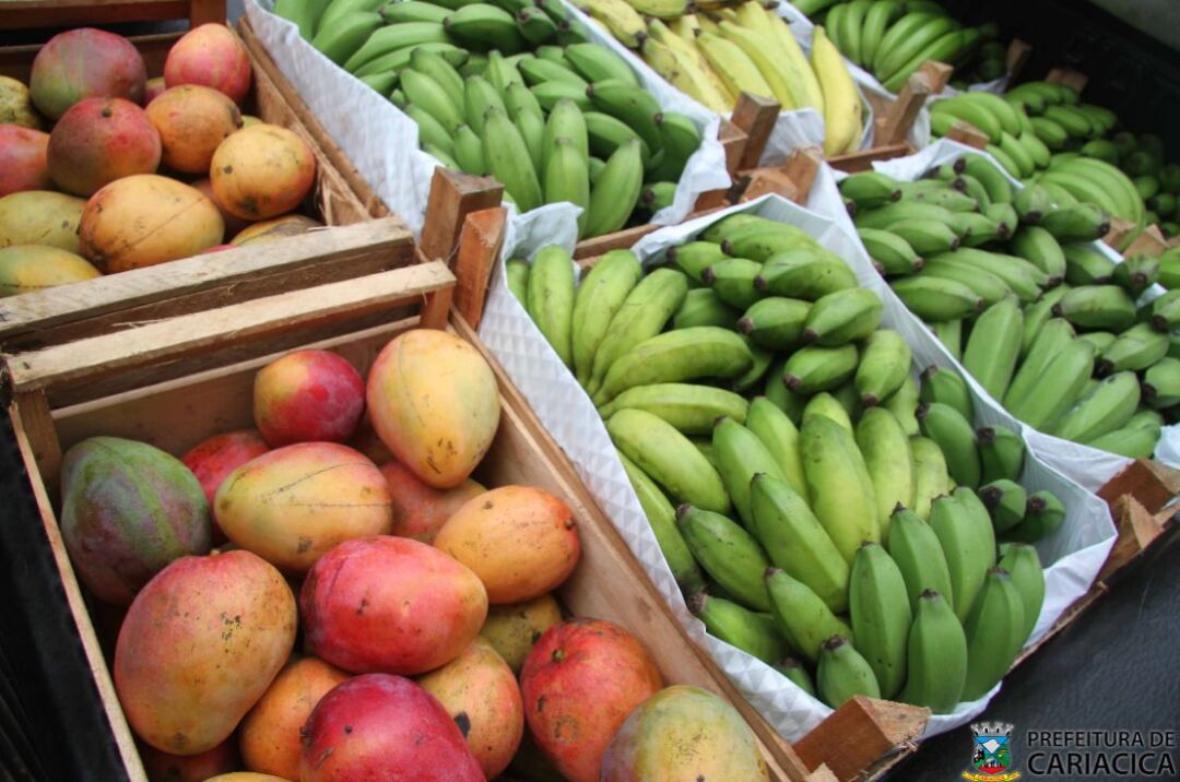 Cariacica abre chamada pública para aquisição de alimentos da agricultura familiar para merenda escolar