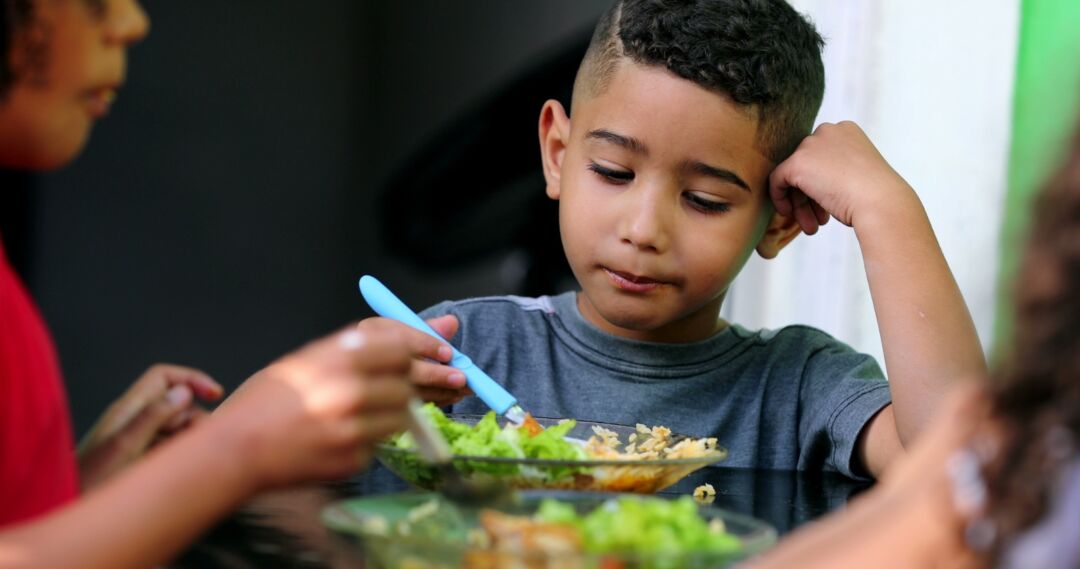 Agricultores familiares capixabas alimentam mais de 102 mil alunos por meio de cooperativas