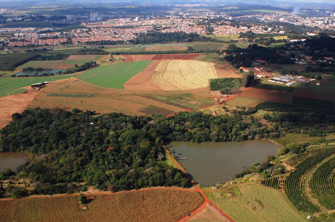 Abaixo-assinado mobiliza sociedade contra venda de fazenda do Instituto Agronômico de Campinas (IAC)