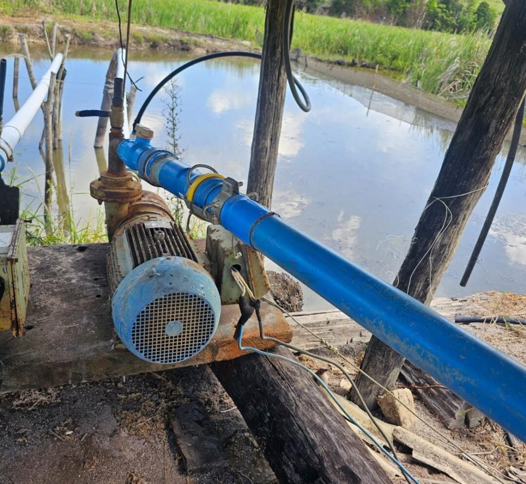 Produtores rurais capixabas devem se recadastrar para manter desconto na conta de energia
