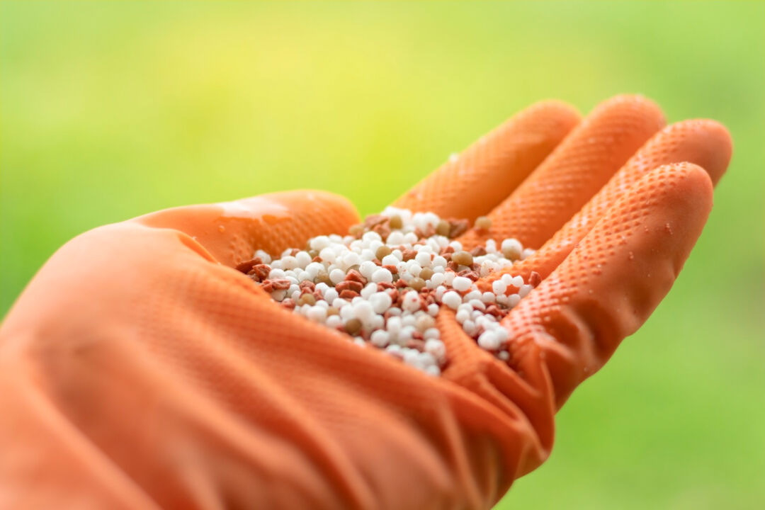 Importações de fertilizantes aumenta em 2024