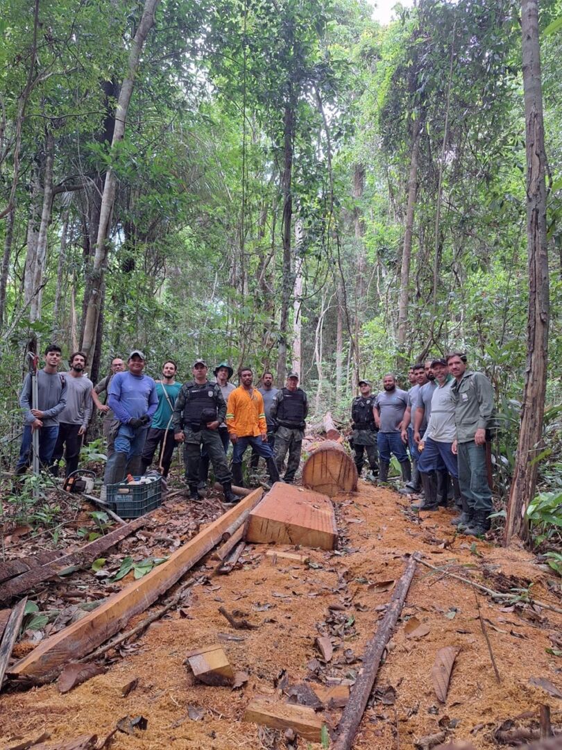 Operação combate crimes ambientais no entorno do Parque Estadual de Itaúnas