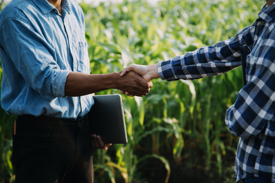Ocupações no Agronegócio fecham 2019 estáveis