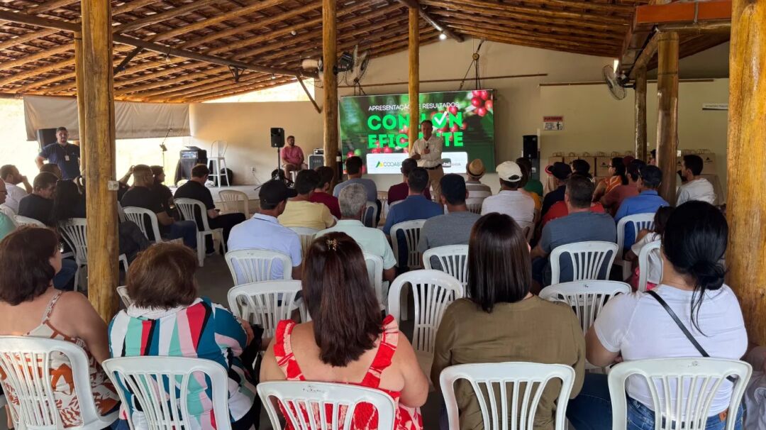 Programa Conilon Eficiente transforma a gestão de 160 propriedades e impulsiona resultados
