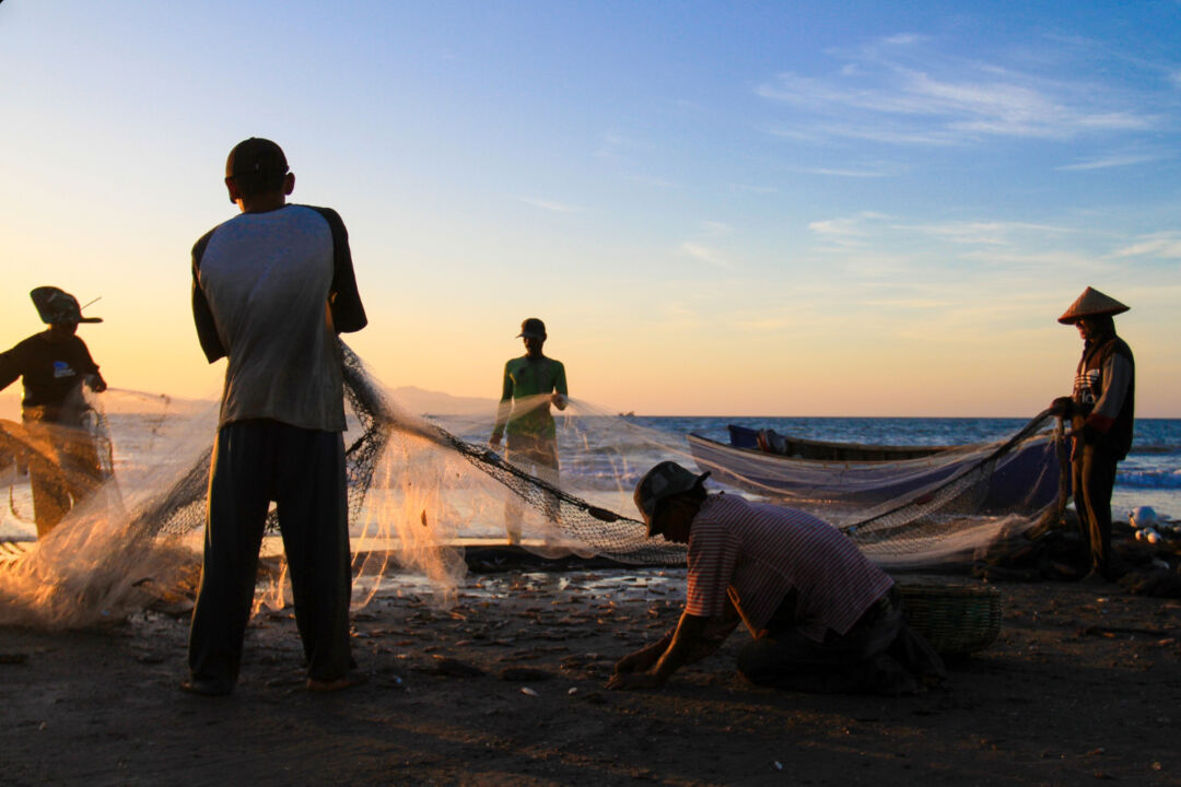 Brasil amplia exportações de pescados com novo acordo firmado com a China