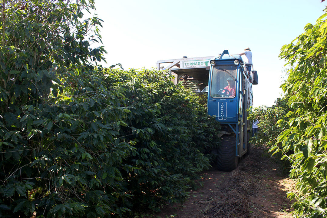 Máquinas de café fora das normas de segurança serão interditadas durante a colheita