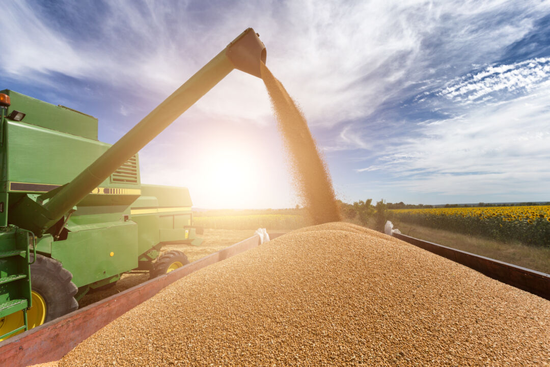 Exportações de soja batem marca histórica e reforçam liderança brasileira no mercado mundial