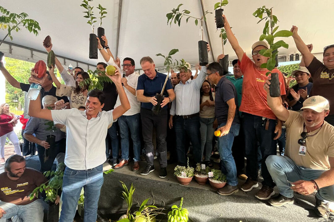 Projeto Arranjos Produtivos distribui 20 mil mudas frutíferas para agricultores de Nova Venécia