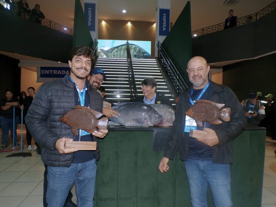 A "super tilápia" de 7 kg que virou estrela em feira de aquicultura