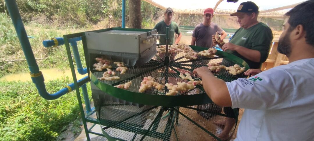 Ifes conquista patente verde com tecnologia que economiza 70% de água na agricultura