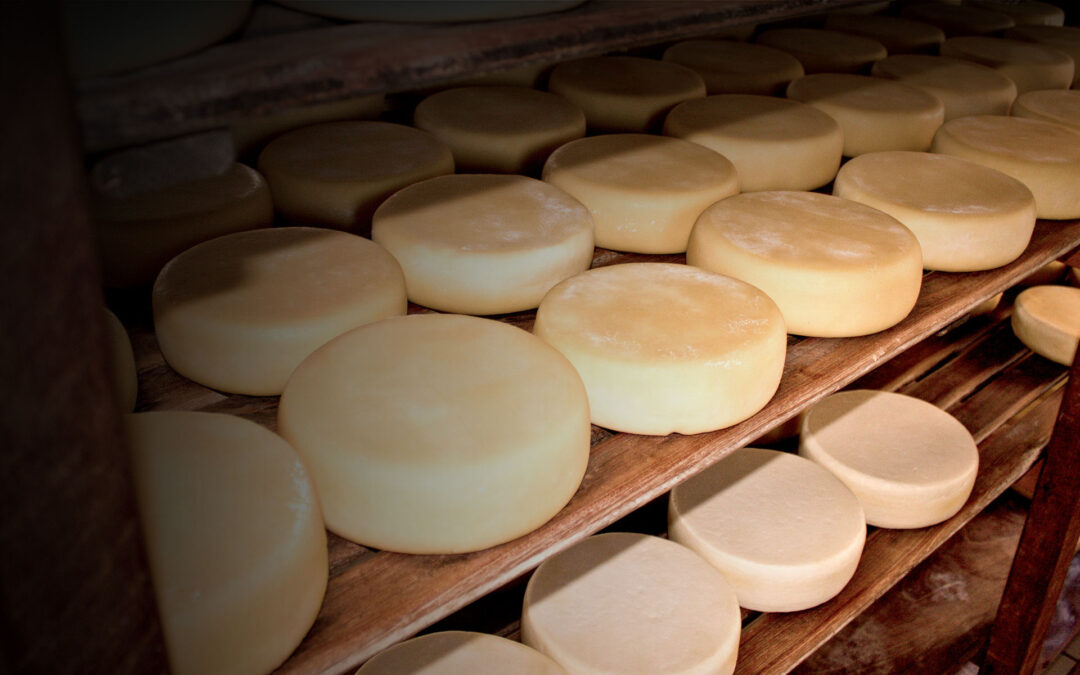 Queijo da Canastra: tradição centenária com selo de origem e sabor único conquista