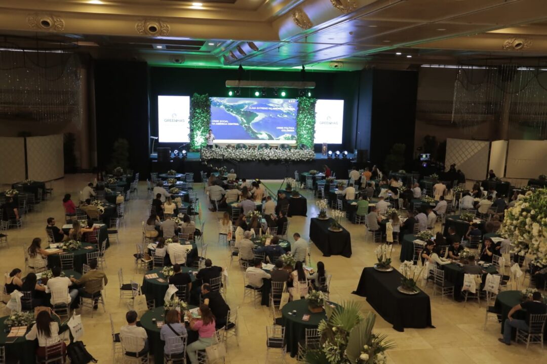 Colheita de café no Brasil pressiona preços e será tema de encontro de gestão em Campinas
