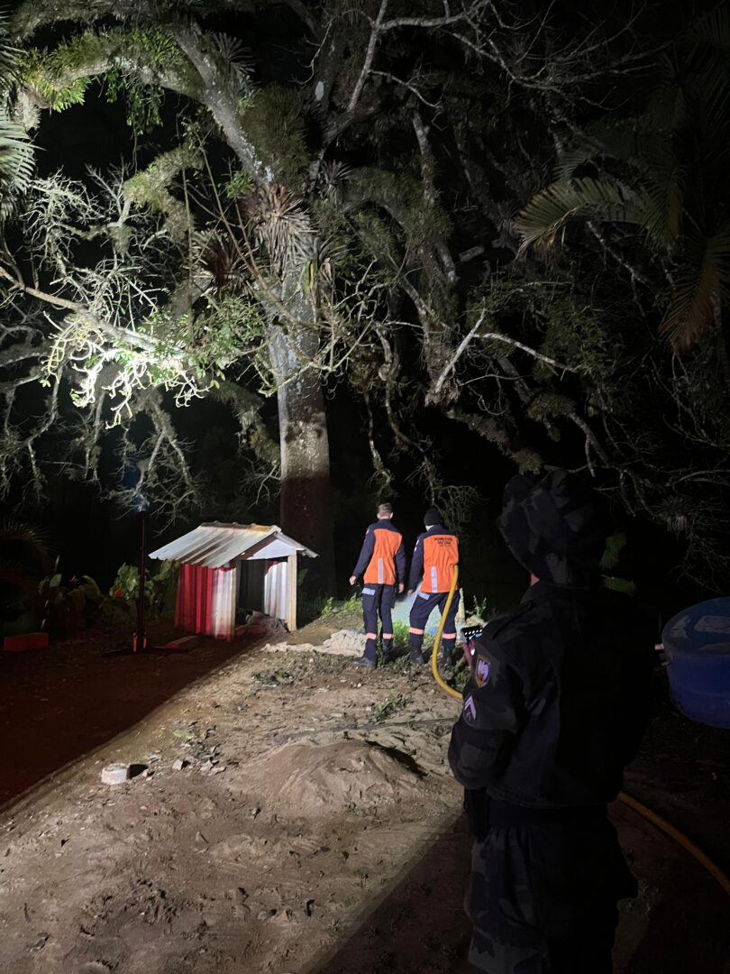 Enxame que ameaçava moradores é destruído em operação da Polícia Ambiental nas Montanhas Capixabas