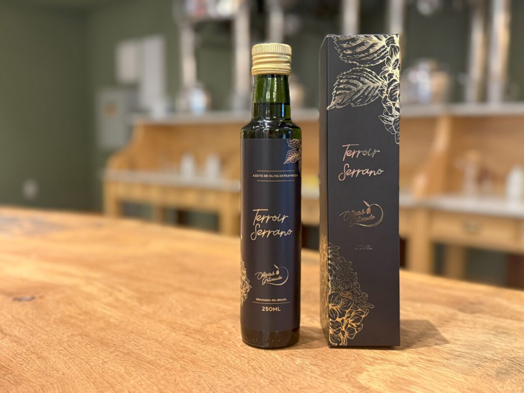 Azeite produzido na Serra Gaúcha é premiado na Itália