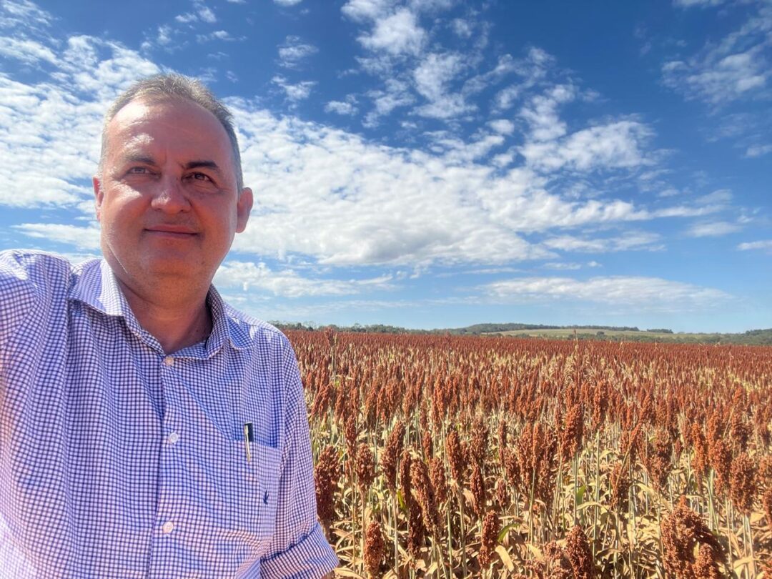 Planejamento, tecnologias e rotação de cultura aumentam produtividade em fazenda