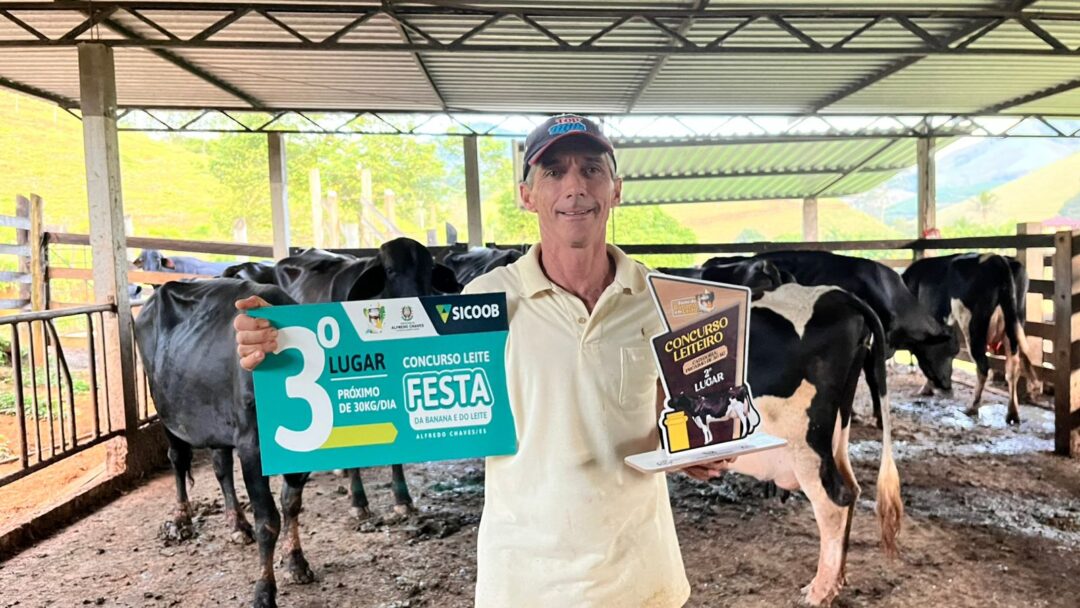 Vacas que custam mais de R$ 200 mil estarão em concurso capixaba na Festa da Banana e do Leite