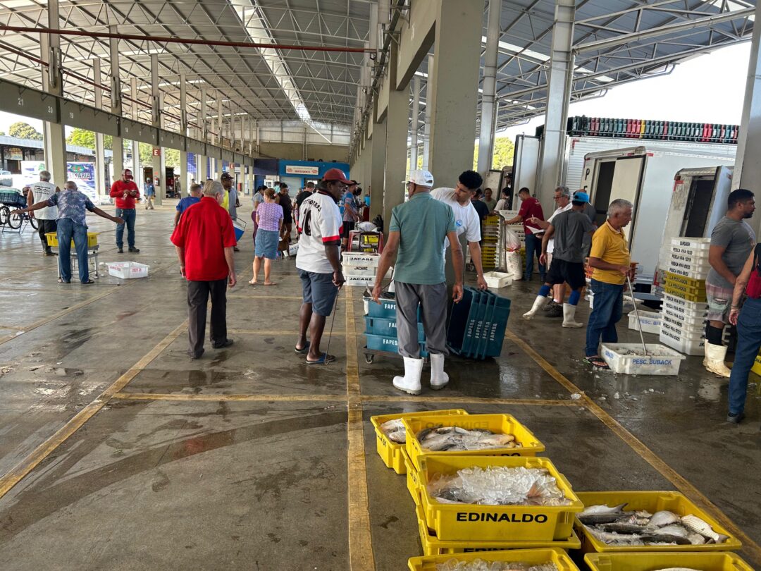 Mercado de Peixes da Ceasa-ES fortalece comércio de pescados e valoriza pesca capixaba