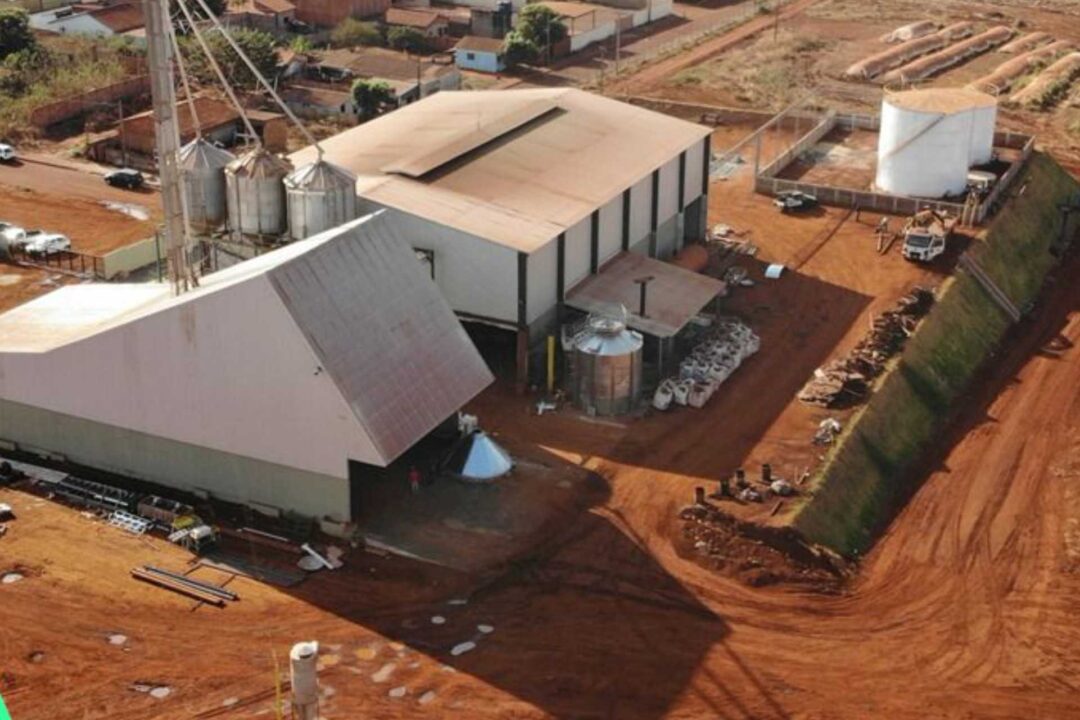Bolsa de Ação Climática lista créditos de carbono da BF Terra