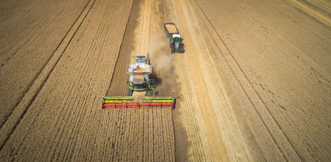 A agropecuária brasileira cresceu mais de 10% no segundo trimestre de 2025