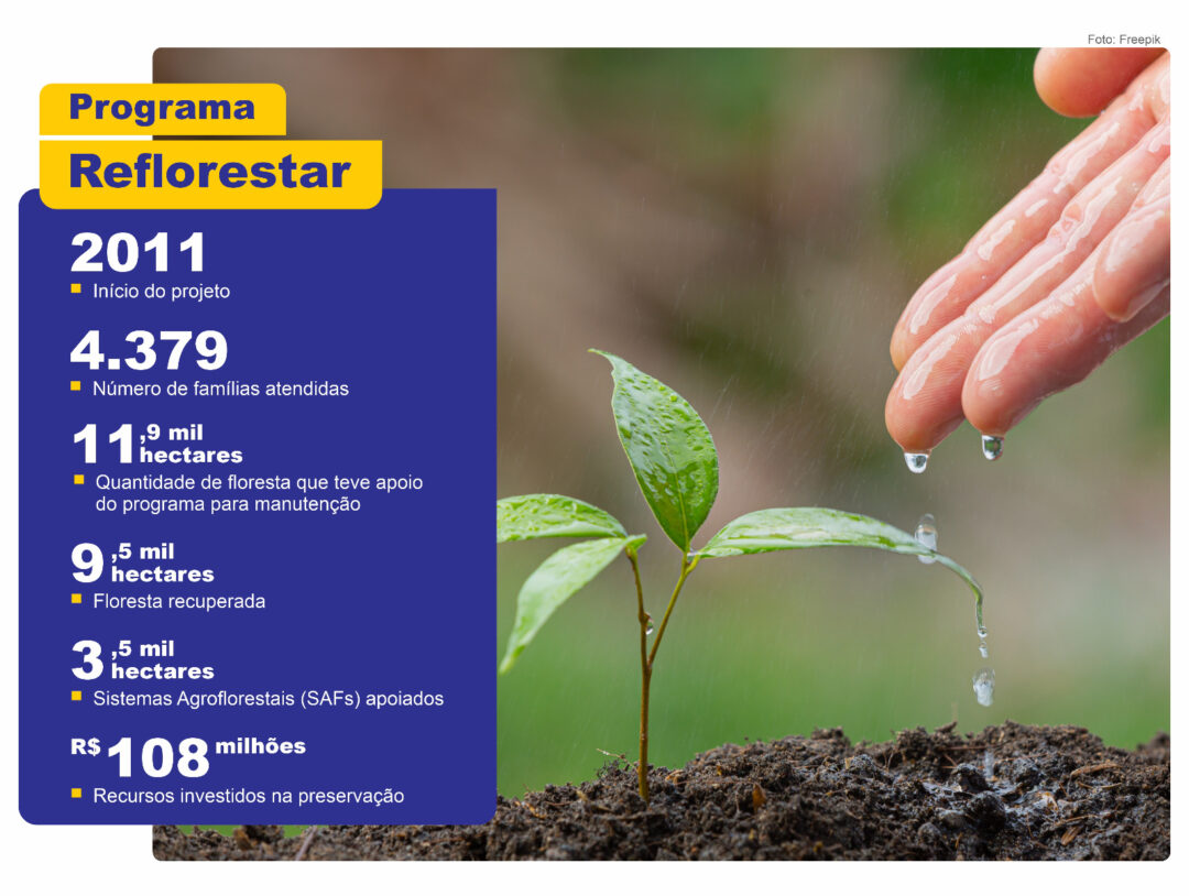 Dados Reflorestar