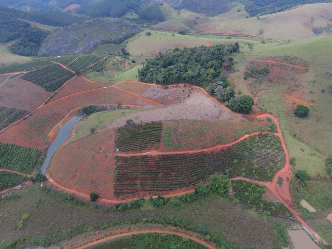 Operação Mata Atlântica em Pé 2025 no ES embarga 282 hectares e multas chegam a R$ 698 mil