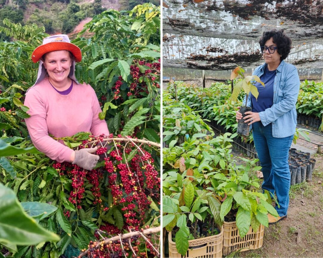 Mulheres rurais impulsionam o desenvolvimento sustentável no Espírito Santo