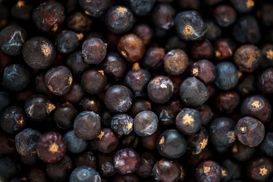 Resíduos do açaí são transformados em café, carvão e biofertilizante