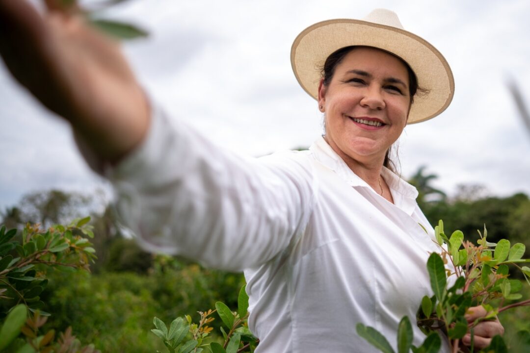 Produtora capixaba transforma fazenda em referência com pimenta-rosa de São Mateus