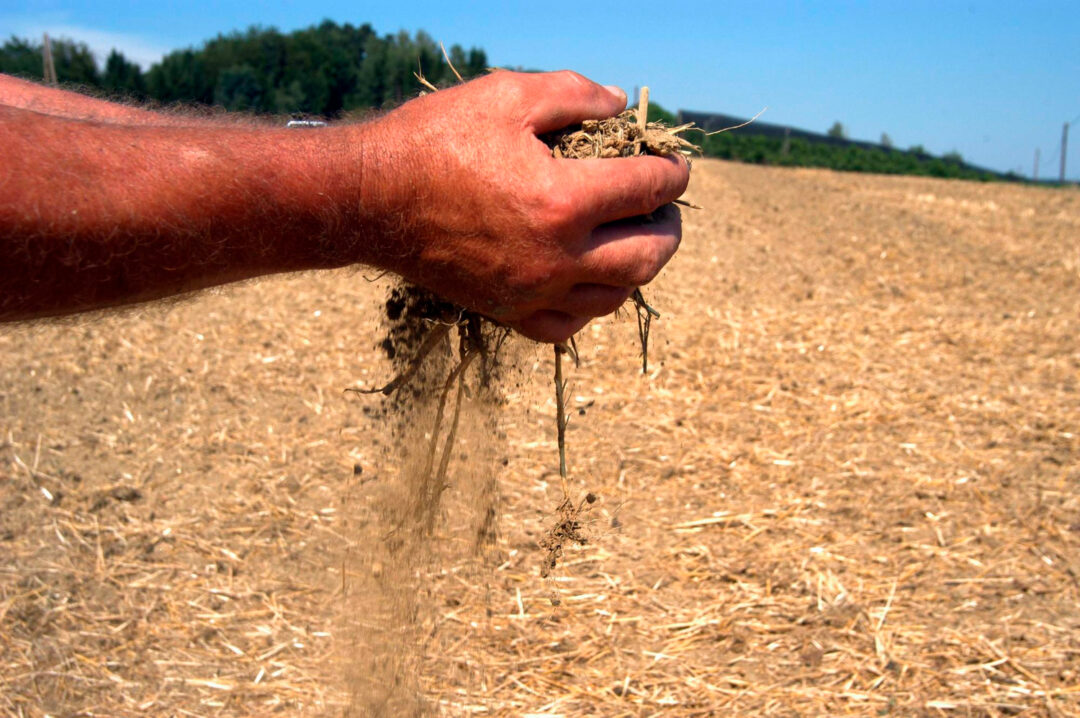 La Niña pode provocar estiagem ao Centro-Sul do Brasil em outubro