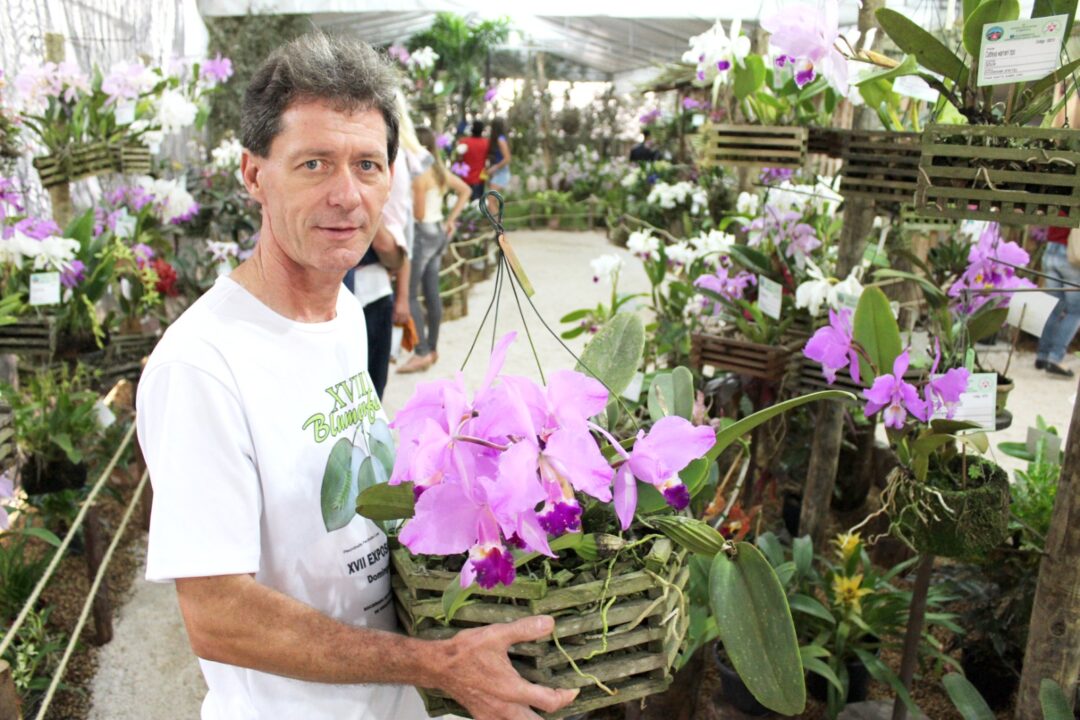 Após 5 anos, Blumenfest está de volta em Domingos Martins