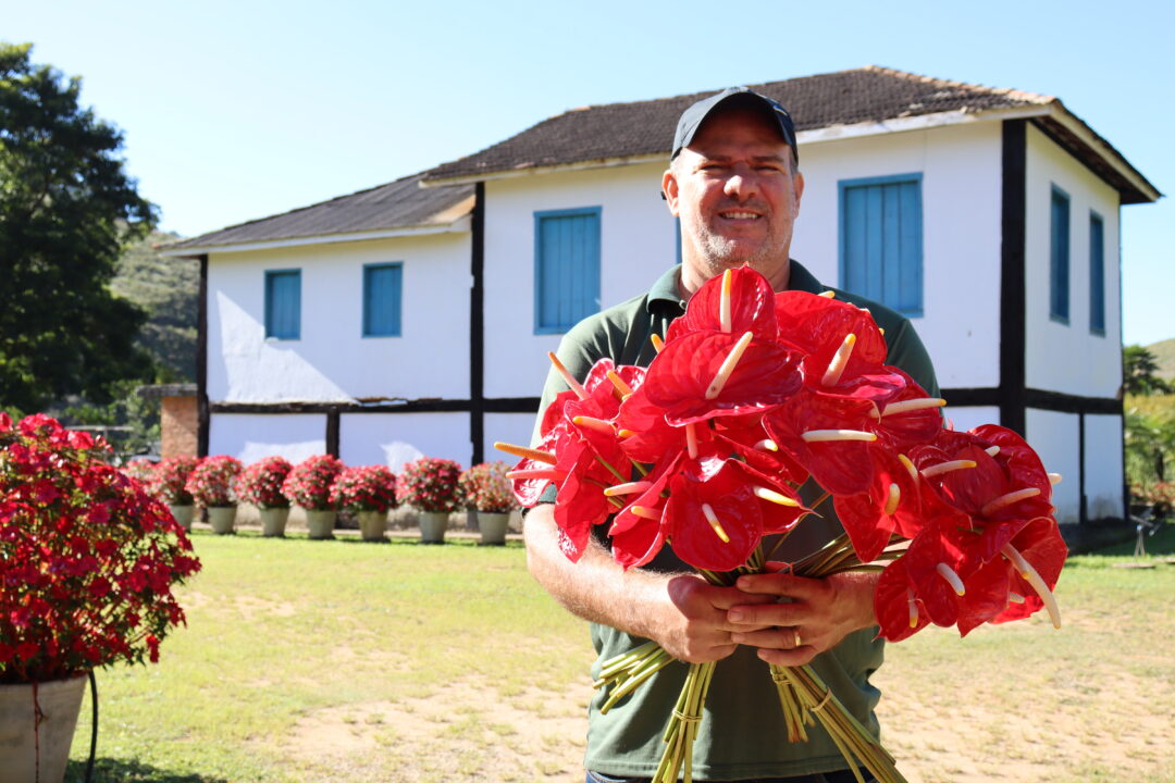 Clima e altitude de Guaçuí favorecem o cultivo de flores