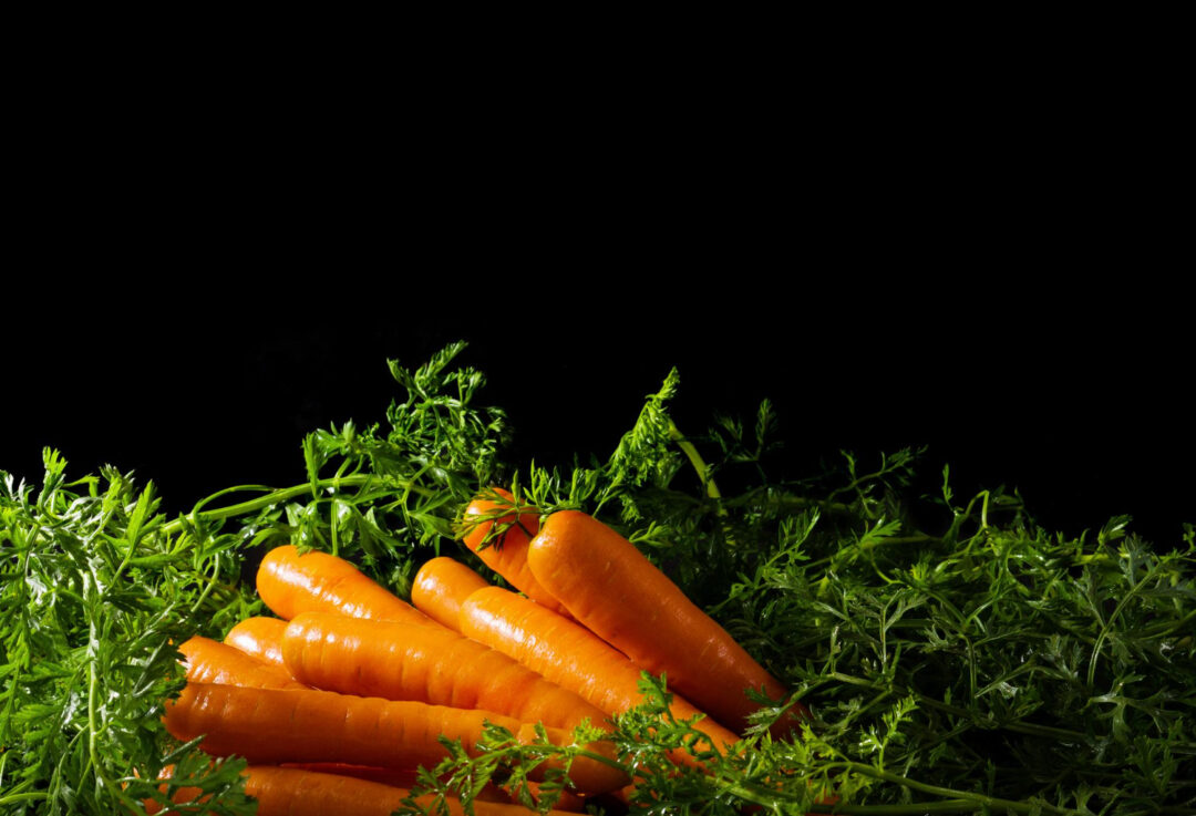 Preços da cenoura caem em novembro e Conab aponta tendência para hortaliças e frutas
