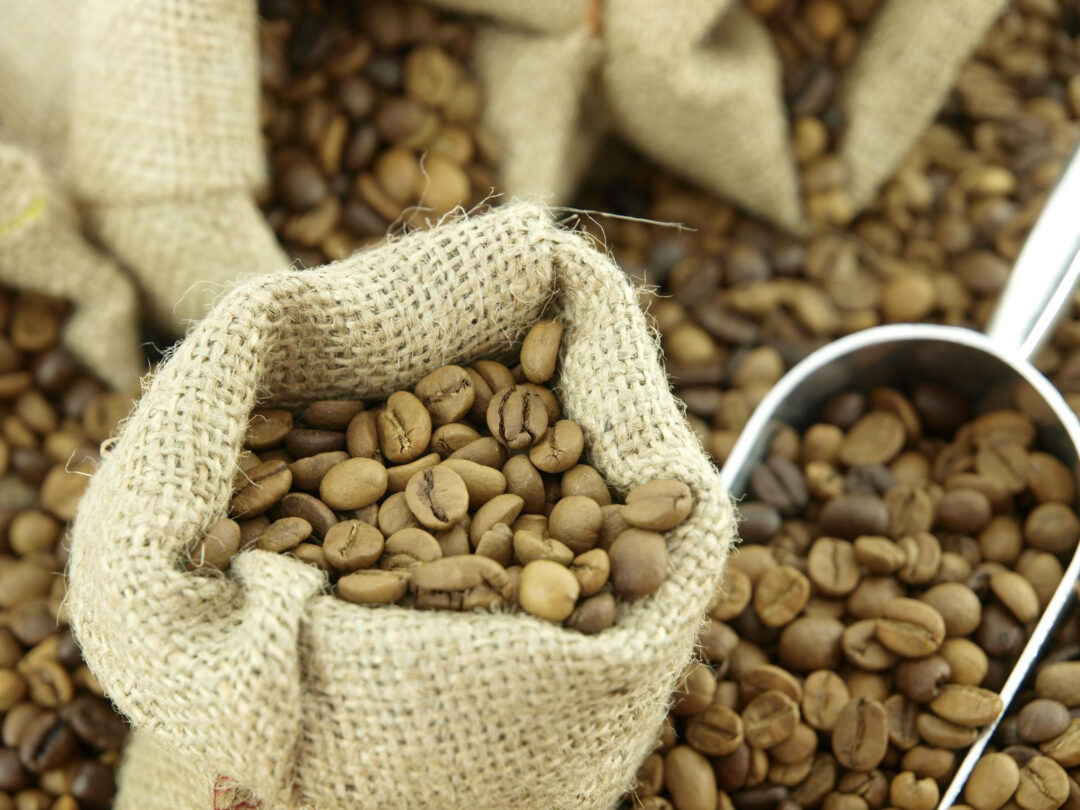 Exportações de café pelo Espírito Santo recuam 32% em um mês