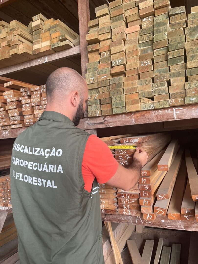 Prazo para renovar registro de atividade florestal no ES vai até 31 de março