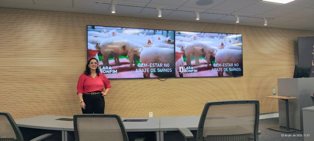 Treinamento capacita frigoríficos do ES para manejo pré-abate e abate humanitário