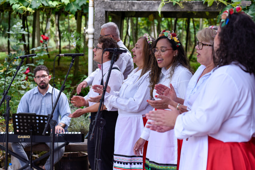 Vindima em vinícolas de Gramado promovem experiências exclusivas até fevereiro
