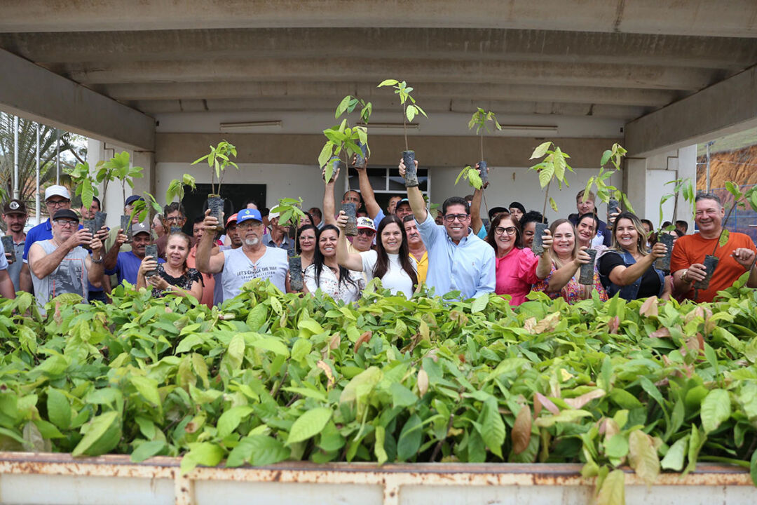 Crédito de carbono chega à agricultura familiar capixaba em iniciativa inédita da Assembleia Legislativa