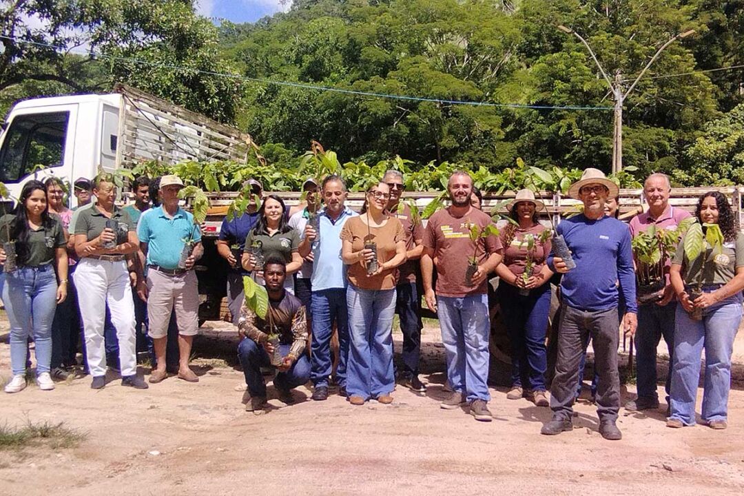 Produtores rurais de Conceição do Castelo recebem 3 mil mudas de cacau para incentivar diversificação