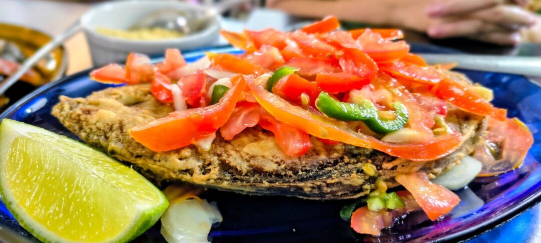 Festival movimenta Guarapari e coloca Setiba no mapa da gastronomia capixaba