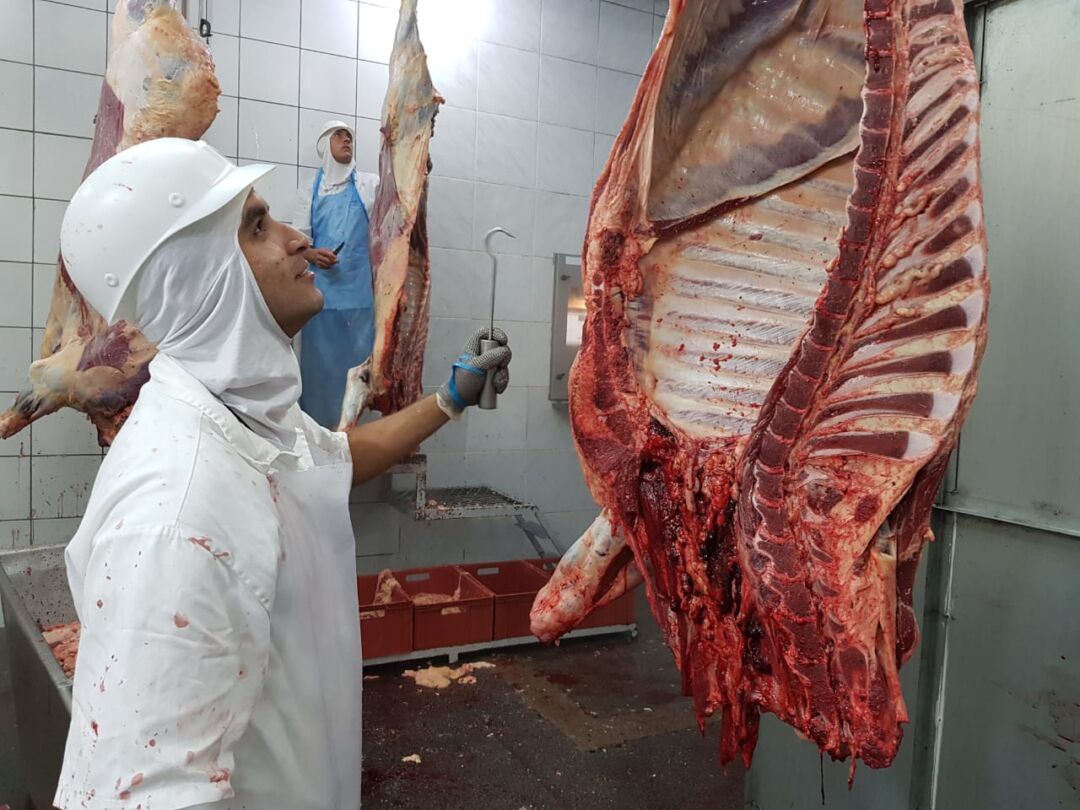 Exportação de carne com osso ao Chile reforça status sanitário do Rio Grande do Sul