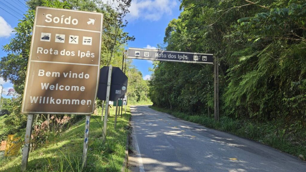 Rota dos Ipês é oficializada como destino turístico estadual