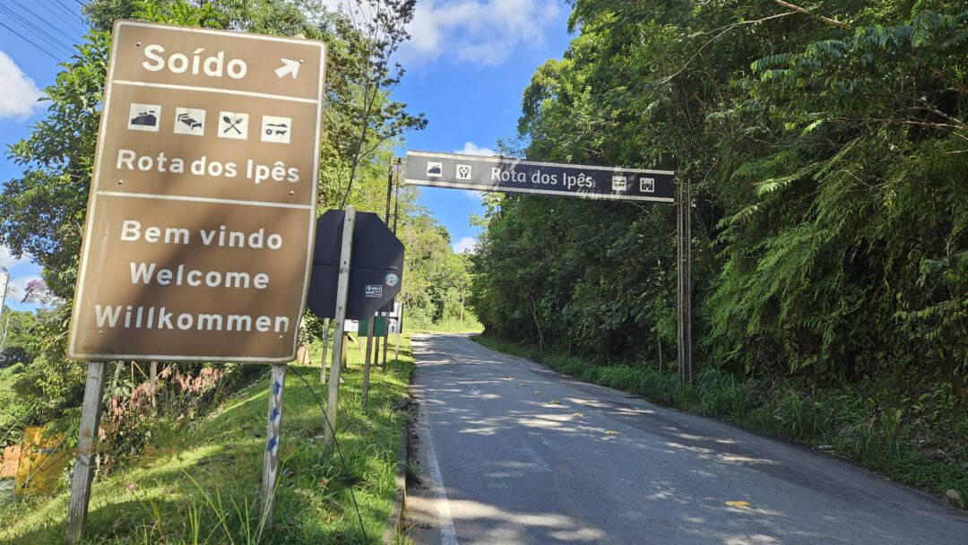 Rota dos Ipês é oficializada como destino turístico estadual
