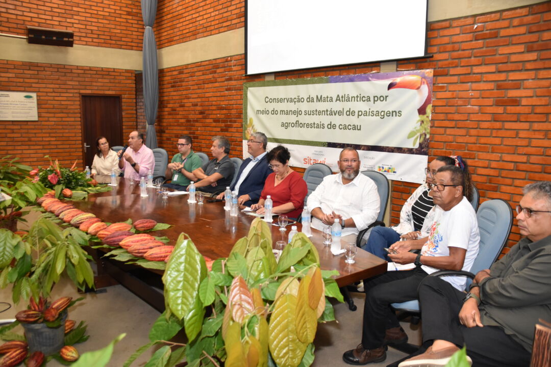 Iniciativa global prevê a conservação da Mata Atlântica por meio do cultivo sustentável do cacau cabruca