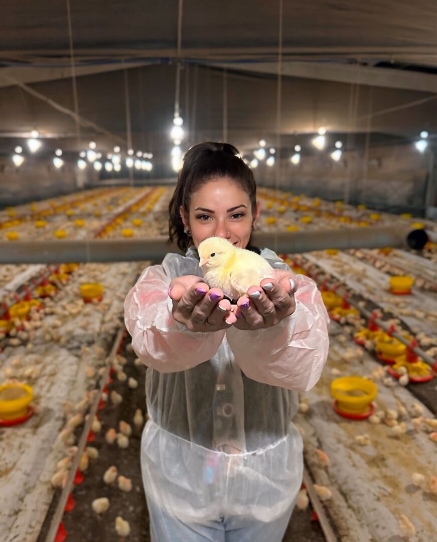 Concurso irá premiar a melhor foto de avicultura do Brasil