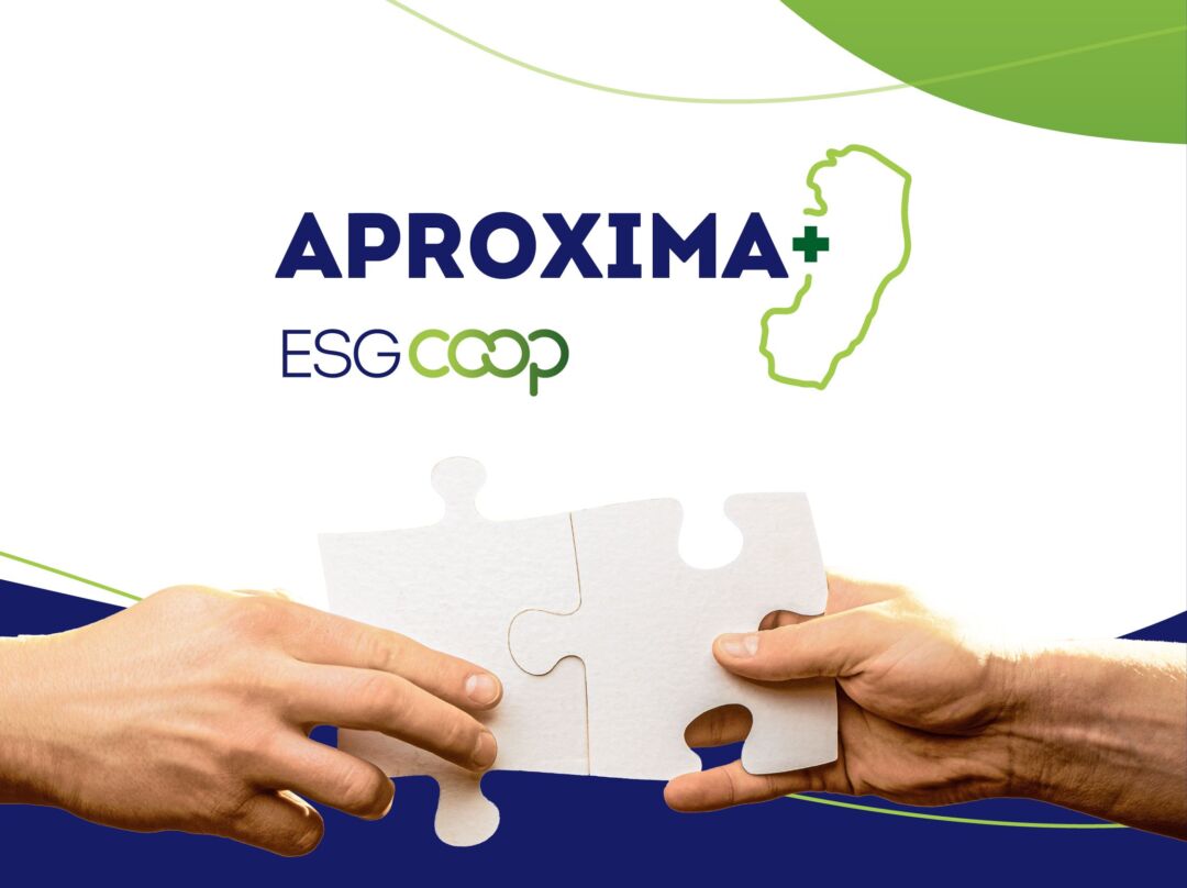 Aproxima+: encontros conectam cooperativas e incentivam novas parcerias no ES