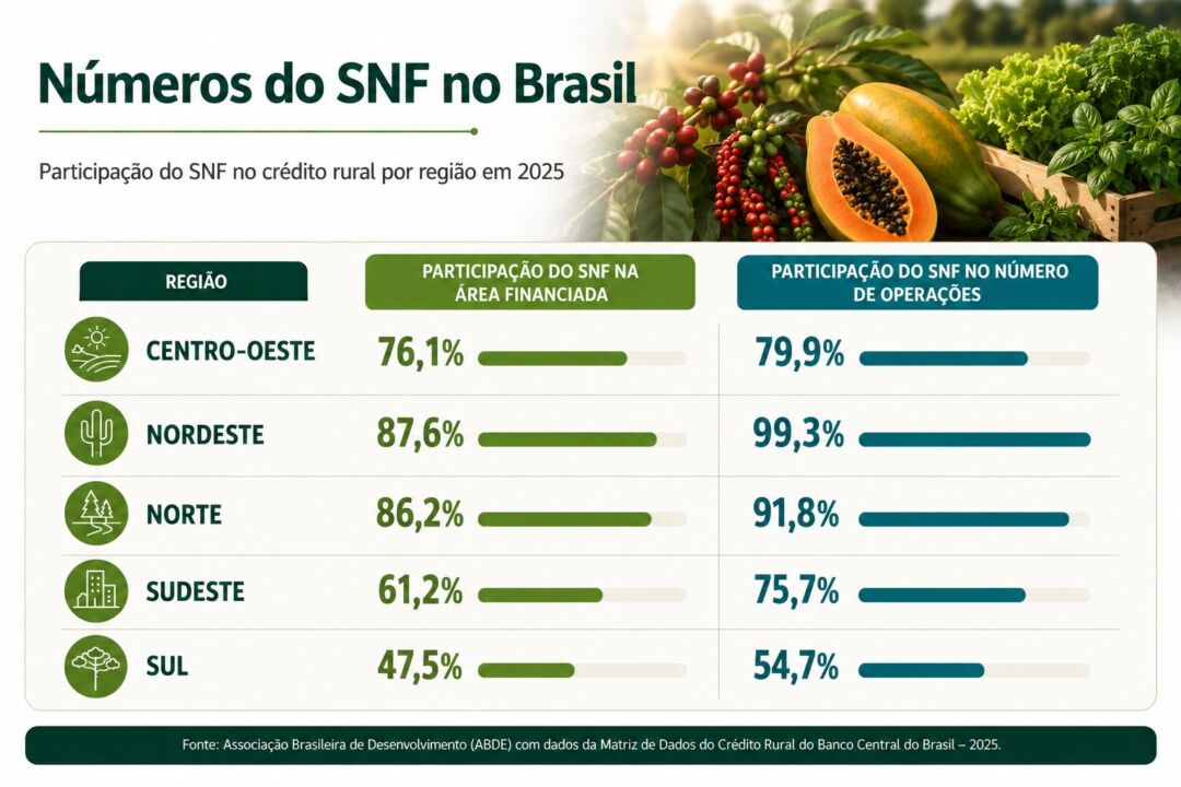 SNF No Brasil SNF No Brasil