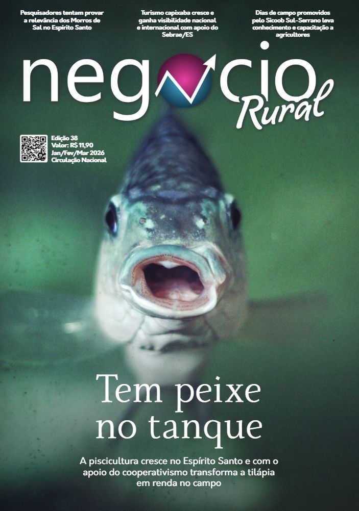 capa_revista_38