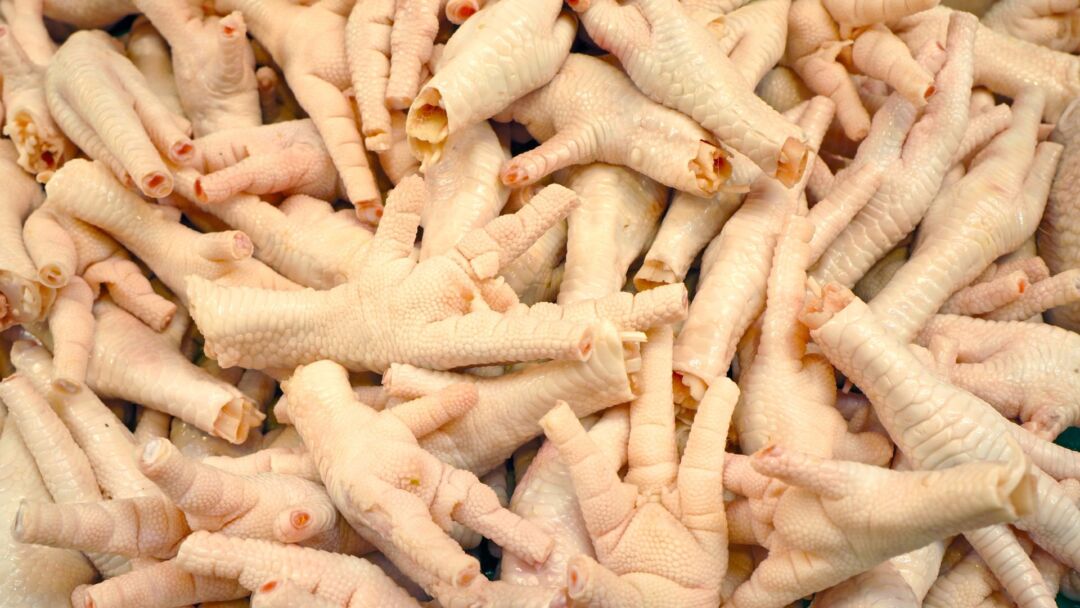 Enquanto brasileiros rejeitam, pé de frango movimenta US$ 221 milhões na China